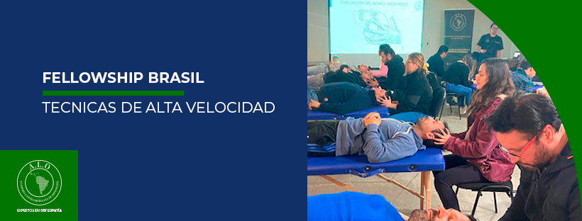 FELLOWSHIP DE TÉCNICAS DE ALTA VELOCIDAD