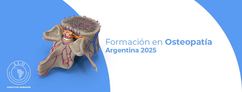 DOBLE TITULACIÓN ARGENTINA 2025