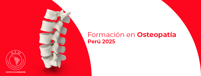 DOBLE TITULACIÓN PERÚ 2025-2026